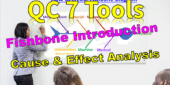 QC 7 Tools - Fishbone (Cause & Effect Analysis) Diagram Introduction